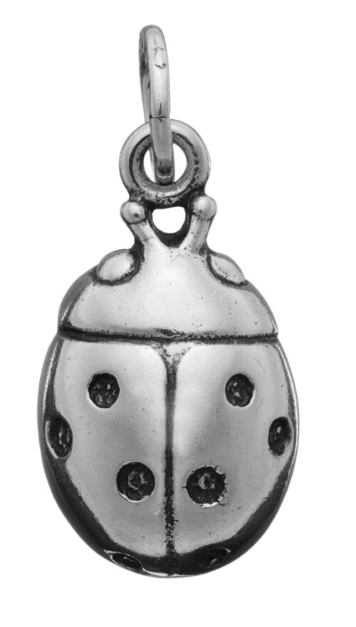 Charms Giovanni Raspini