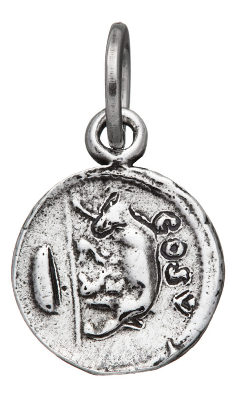 CHARM LUPA