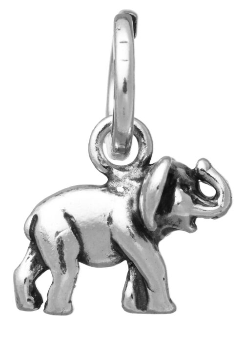 Charms Giovanni Raspini