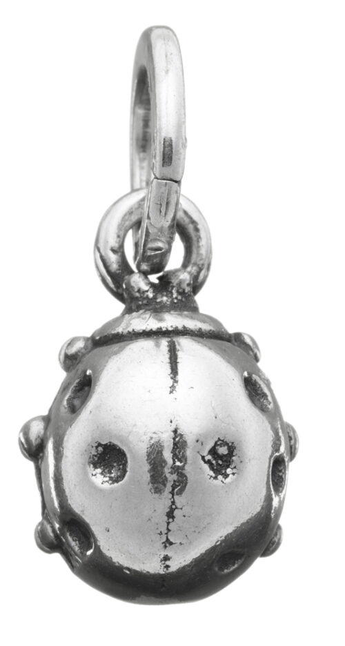 Charms Giovanni Raspini