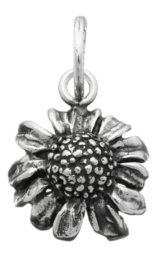Charms Giovanni Raspini