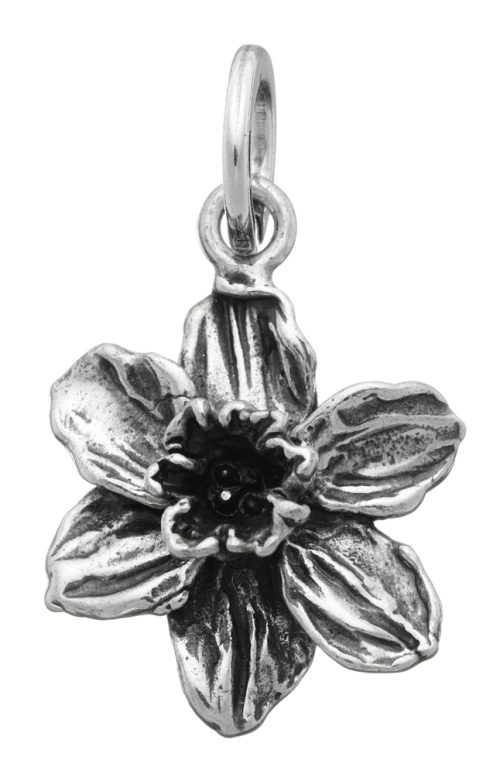 Charms Giovanni Raspini