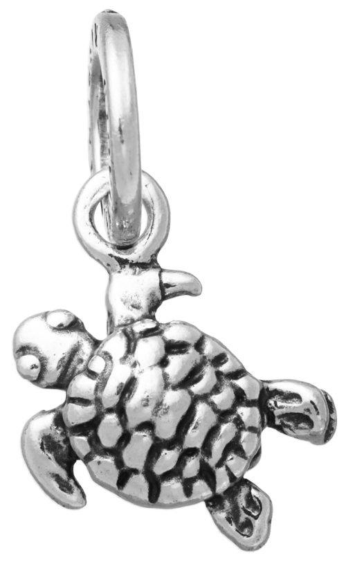 Charms Giovanni Raspini