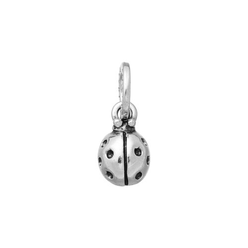 Charms Giovanni Raspini
