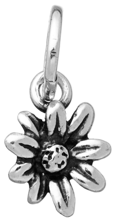 Charms Giovanni Raspini